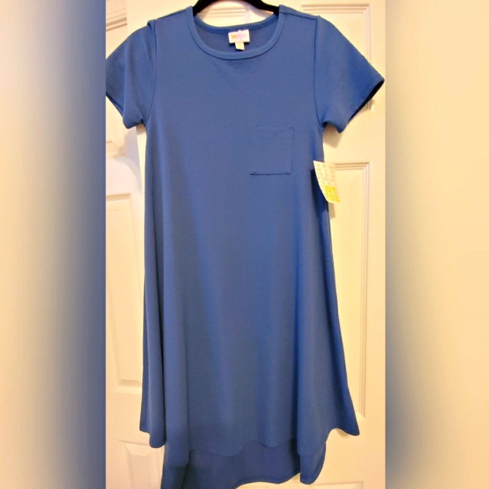 Brand New LulaRoe Carly Dress